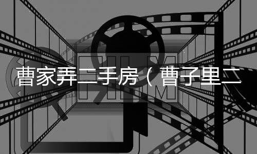 曹家弄二手房（曹子里二手房）