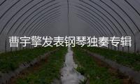 曹宇擎發(fā)表鋼琴獨奏專輯和現(xiàn)代詩作品