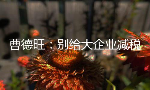 曹德旺：別給大企業減稅，直接給小微企業免稅,行業資訊