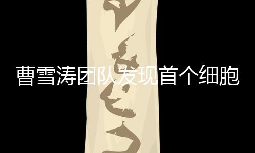 曹雪濤團隊發現首個細胞核內DNA免疫識別受體