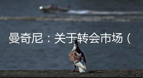 曼奇尼：關于轉會市場（五）