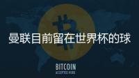曼聯目前留在世界杯的球星都有誰