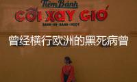 曾經橫行歐洲的黑死病曾導致兩千多萬人死亡，為何又突然消失了？