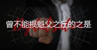 曾不能損魁父之丘的之是什么意思 曾不能損魁父之丘的之的意思