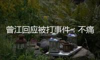 曾江回應被打事件：不痛，和謝賢握個手就算了