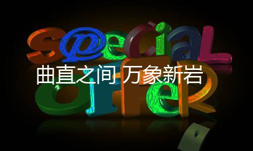 曲直之間 萬象新巖