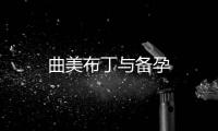 曲美布丁與備孕