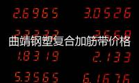 曲靖鋼塑復(fù)合加筋帶價格優(yōu)惠