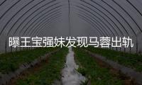 曝王寶強妹發現馬蓉出軌 夫妻假恩愛已2年