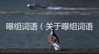 曝組詞語（關于曝組詞語的基本情況說明介紹）
