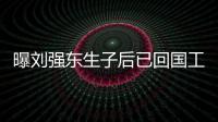 曝劉強東生子后已回國工作 具體是什么情況？