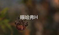 曝哈弗H