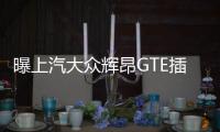 曝上汽大眾輝昂GTE插電式混動(dòng)車(chē)型諜照