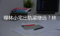 曝林小宅出軌梁繼遠？林小宅回應：已和前男友分手