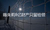 曝朱莉8億財(cái)產(chǎn)只留給領(lǐng)養(yǎng)兒原因與皮特離婚有關(guān)