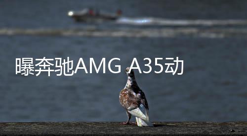 曝奔馳AMG A35動力信息 搭48V輕混系統
