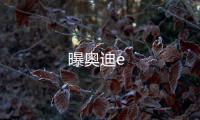 曝奧迪e