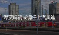 曝賈鳴鏑或調(diào)任上汽奧迪 主持管理工作