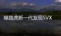 曝路虎新一代發現SVX 原車配絞盤防滑板