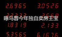 曝馬蓉今年獨自賣房王寶強百子灣已無房產