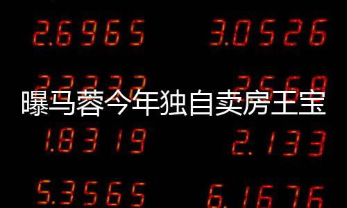 曝馬蓉今年獨自賣房王寶強百子灣已無房產