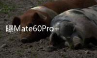 曝Mate60Pro+今日開售 Mate60Pro+與Pro版相差不大