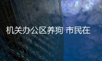 機關辦公區養狗 市民在廣場辦公區被狗咬