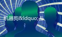 機器狗“占領”上海時裝周 T臺走秀引關注