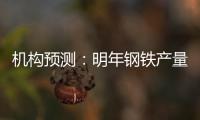 機構預測：明年鋼鐵產量將小幅下降至9.8億噸左右
