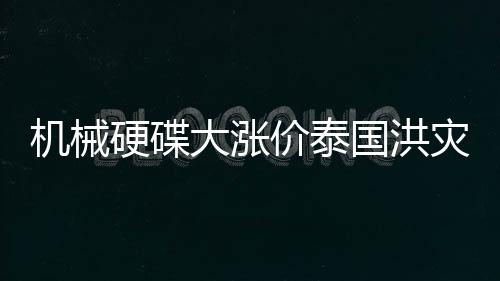 機械硬碟大漲價泰國洪災對DIY市場的最大沖擊