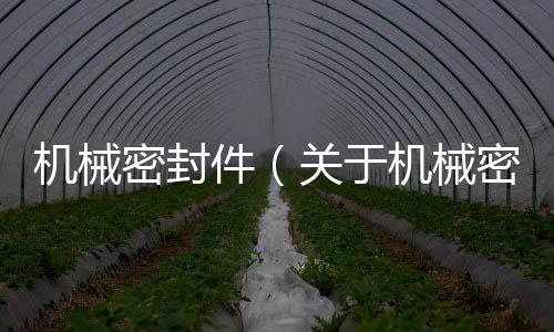 機(jī)械密封件（關(guān)于機(jī)械密封件的基本情況說明介紹）