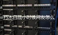 朽木白哉小時(shí)候網(wǎng)友怎么看?
