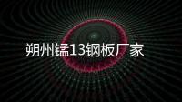 朔州錳13鋼板廠家