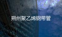 朔州聚乙烯鋼帶管