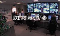 朕的惡毒小嬌妻