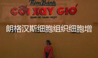 朗格漢斯細胞組織細胞增生癥 細胞增生治療