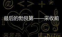 最后的勃艮第——采收前的一周
