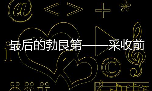 最后的勃艮第——采收前的一周