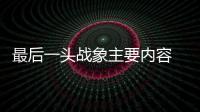 最后一頭戰象主要內容 最后一頭戰象主要內容講的是什么