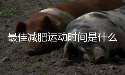 最佳減肥運動時間是什么時候？快來看看你選對了嗎？