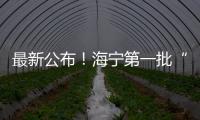 最新公布！海寧第一批“新興海工程”重點名單