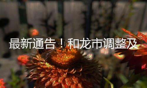 最新通告！和龍市調整及新劃定部分封控區、管控區