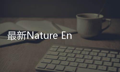 最新Nature Energy：就這么簡單！CO2和乙醇直接合成DMC – 材料牛