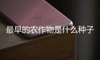 最早的農(nóng)作物是什么種子，最早的農(nóng)作物是什么