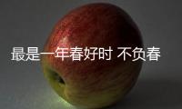 最是一年春好時 不負春風添新綠