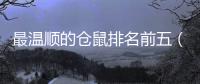 最溫順的倉鼠排名前五（最溫順的倉鼠排名）