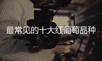 最常見(jiàn)的十大紅葡萄品種