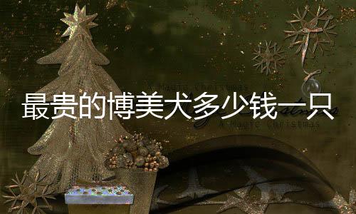 最貴的博美犬多少錢一只，什么品種博美最貴