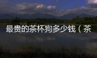 最貴的茶杯狗多少錢（茶杯狗多少錢）