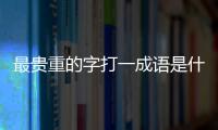 最貴重的字打一成語是什么成語（最貴的字打一成語）